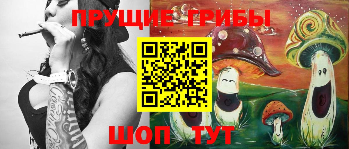 где купить наркоту  Карабулак  Галлюциногенные грибы Cubensis 